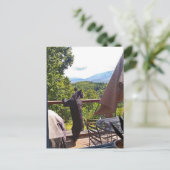 Zwart Beer geniet van Uitzichten in het Briefkaart (Staand voorkant)