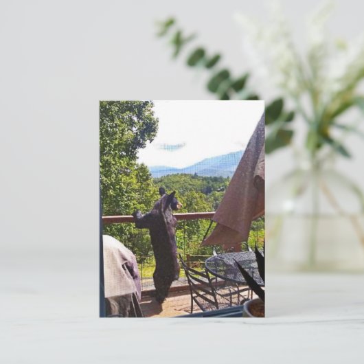 Zwart Beer geniet van Uitzichten in het Briefkaart (Staand voorkant)