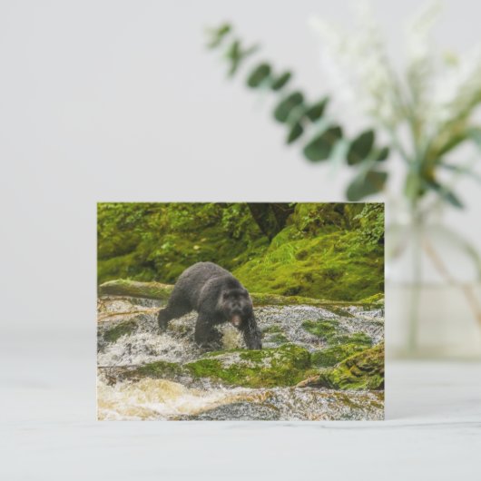 Zwart Beer Gevist | Qua Creek British Columbia Briefkaart (Staand voorkant)