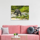 Zwart Beer Gevist | Qua Creek British Columbia Canvas Afdruk (Insitu (Woonkamer))
