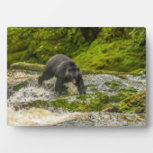 Zwart Beer Gevist | Qua Creek British Columbia Fotoplaat (voorkant)