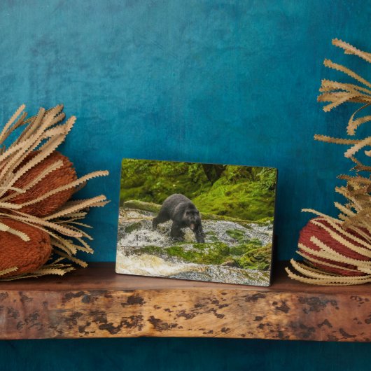 Zwart Beer Gevist | Qua Creek British Columbia Fotoplaat (Zijkant)