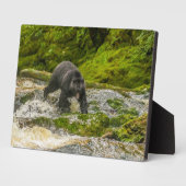 Zwart Beer Gevist | Qua Creek British Columbia Fotoplaat (Zijkant)