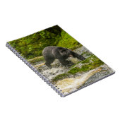 Zwart Beer Gevist | Qua Creek British Columbia Notitieboek (Rechterzijde)