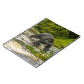 Zwart Beer Gevist | Qua Creek British Columbia Notitieboek (Linkerzijde)