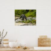 Zwart Beer Gevist | Qua Creek British Columbia Poster (Keuken)