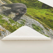 Zwart Beer Gevist | Qua Creek British Columbia Sherpa Deken (3/4)