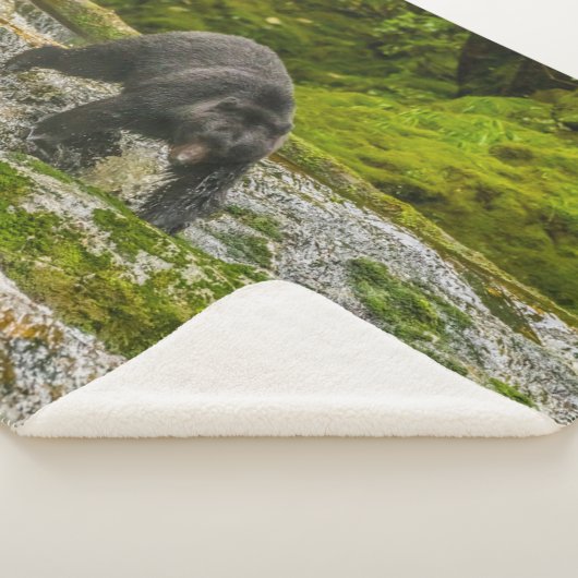Zwart Beer Gevist | Qua Creek British Columbia Sherpa Deken (3/4)
