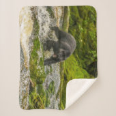 Zwart Beer Gevist | Qua Creek British Columbia Sherpa Deken (Voorkant)