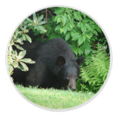 Zwart Beer - "Hallo Cubby" keramische knop (Voorkant)