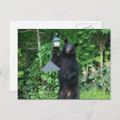 Zwart Beer - "Het is niet hoe het eruit ziet!" Briefkaart (Voorkant / Achterkant)