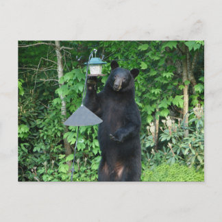 Zwart Beer - "Het is niet hoe het eruit ziet!" Briefkaart