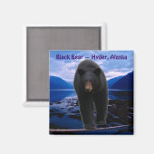 ZWART BEER Hyder, Alaska Wildlife Magnet (Voorkant / Achterkant)