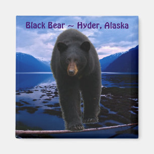 ZWART BEER Hyder, Alaska Wildlife Magnet