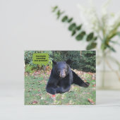 Zwart Beer - "Ik corrigeer je grammatica in stilte Briefkaart (Staand voorkant)