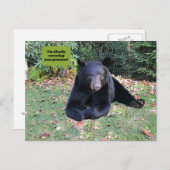 Zwart Beer - "Ik corrigeer je grammatica in stilte Briefkaart (Voorkant / Achterkant)