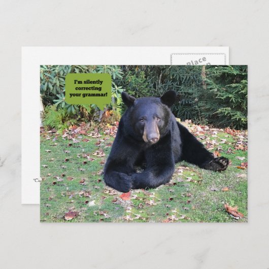 Zwart Beer - "Ik corrigeer je grammatica in stilte Briefkaart (Voorkant / Achterkant)