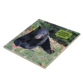 Zwart Beer - Ik corrigeer je grammatica. Tegeltje (Zijkant)