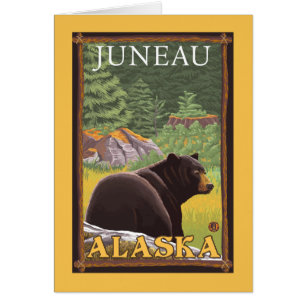Zwart Beer in de bosbouw - Juneau, Alaska