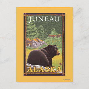 Zwart Beer in de bosbouw - Juneau, Alaska Briefkaart