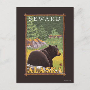Zwart Beer in de bosbouw - Seward, Alaska Briefkaart