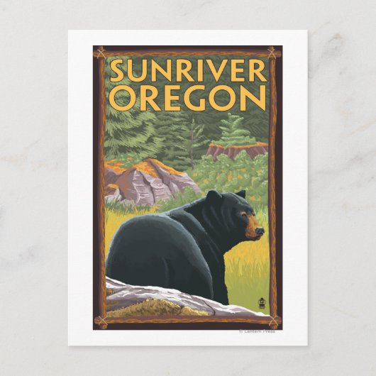 Zwart Beer in de bosbouw - Sun River, Oregon Briefkaart (Voorkant)