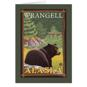 Zwart Beer in de bosbouw - Wrangell, Alaska