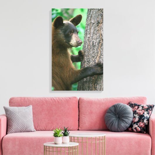 Zwart Beer in de Bossen Canvas Afdruk (Insitu (Woonkamer))