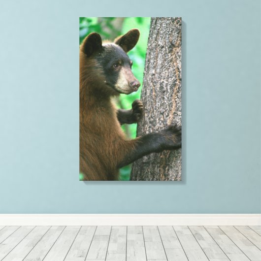 Zwart Beer in de Bossen Canvas Afdruk (Insitu (Houten vloer))