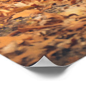 Zwart Beer in de najaarse Bossen Poster (Hoek)