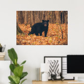 Zwart Beer in de najaarse Bossen Poster (Thuiskantoor)