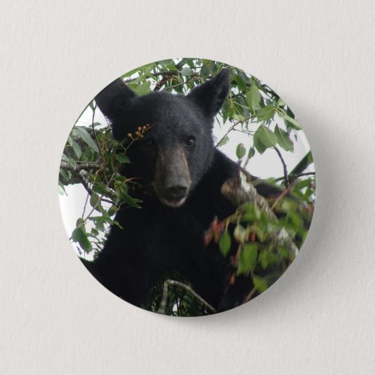 Zwart Beer in een boom Ronde Button 5,7 Cm (Voorkant)