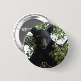 Zwart Beer in een boom Ronde Button 5,7 Cm
