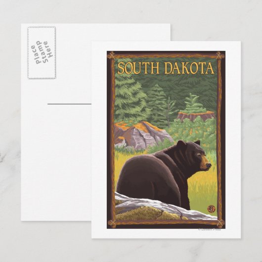 Zwart Beer in ForestSouth Dakota Briefkaart (Voorkant / Achterkant)