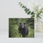 Zwart Beer in het Banff National Park Briefkaart (Staand voorkant)