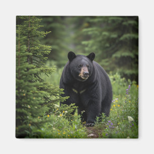 Zwart Beer in het Banff National Park Magneet