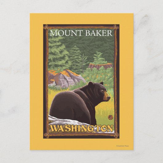 Zwart Beer in het bos - Mount Baker, Washington Briefkaart (Voorkant)