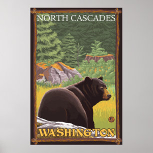 Zwart Beer in het bos - Noord-Cascades, Washington Poster