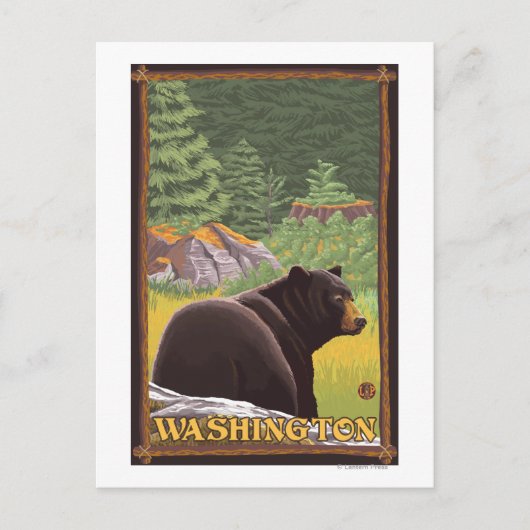 Zwart Beer in het bos - Washington Briefkaart (Voorkant)