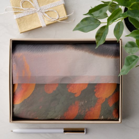 Zwart Beer in Oranje bloemen Tissuepapier (Geschenk)