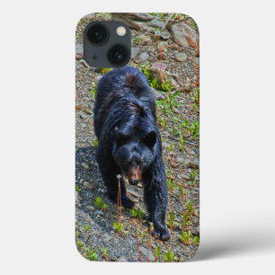 Zwart Beer in Yukon Wilderness Wildlife Foto Case-Mate iPhone Case