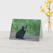 zwart beer kaart (Gele Bloem)