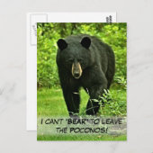 Zwart Beer: "Kan niet Beer om weg te gaan!" Briefkaart (Voorkant / Achterkant)