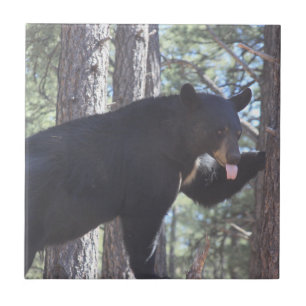 Zwart Beer Keramische Tegel Tegeltje