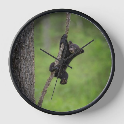 Zwart Beer Keuk op boomarm (Voorkant)