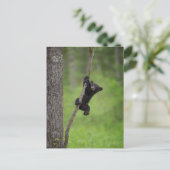Zwart Beer Keuk op boomarm Briefkaart (Staand voorkant)