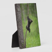 Zwart Beer Keuk op boomarm Fotoplaat (Zijkant)