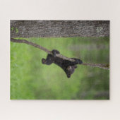 Zwart Beer Keuk op boomarm Legpuzzel (Horizontaal)