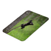 Zwart Beer Keuk op boomarm Magneet (Linkerzijde)