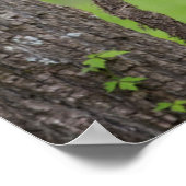 Zwart Beer Keuk op boomarm Poster (Hoek)